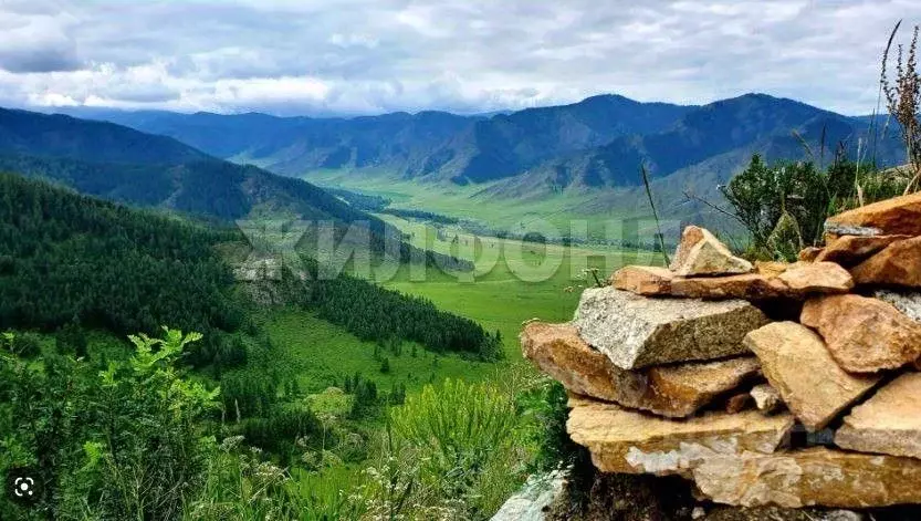 Участок в Алтай, Чемальский район, с. Бешпельтир Центральная ул. ... - Фото 1