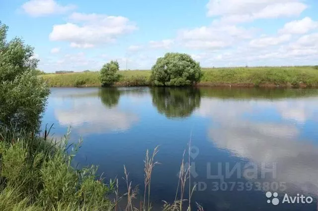 Участок в Московская область, Луховицы городской округ, д. Головачево, ... - Фото 0