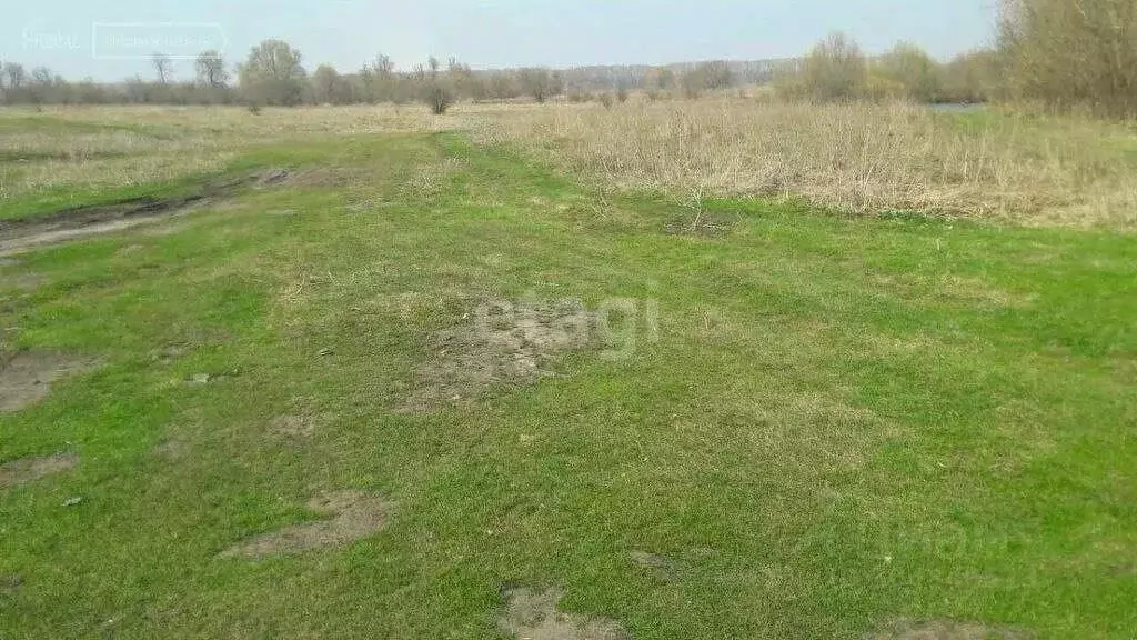 Участок в Белгородская область, Поселок Чернянка городское поселение, ... - Фото 0