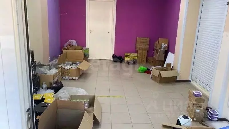 Офис в Воронежская область, Воронеж ул. Шишкова, 142 (70 м) - Фото 1