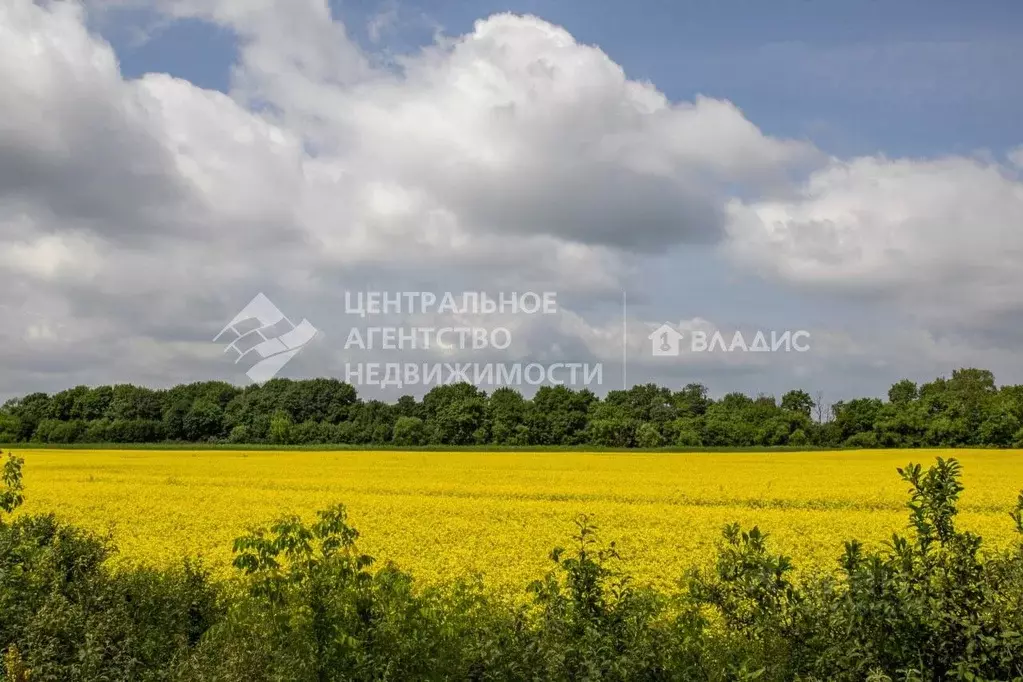 Участок в Рязанская область, Рязанский район, Екимовское с/пос, д. ... - Фото 1