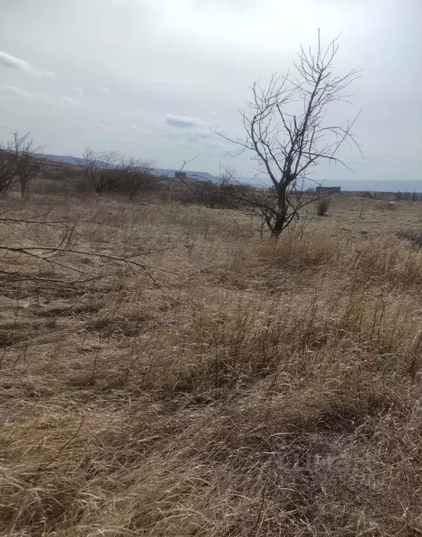 Участок в Ставропольский край, Ставрополь Зори Кавказа садовое ... - Фото 1