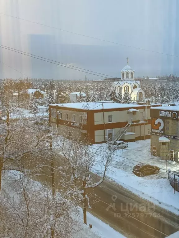 1-к кв. Нижегородская область, Дзержинск Новомосковская ул., 10 (30.0 ... - Фото 1