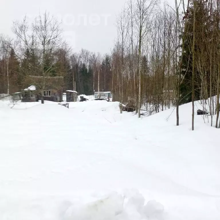 Участок в Ленинградская область, Тосненский район, Рябовское городское ... - Фото 0