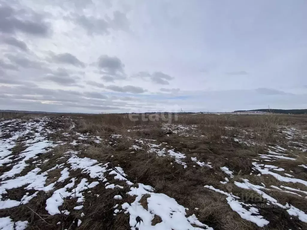 Участок в Ульяновская область, Ульяновск городской округ, с. Арское ... - Фото 2