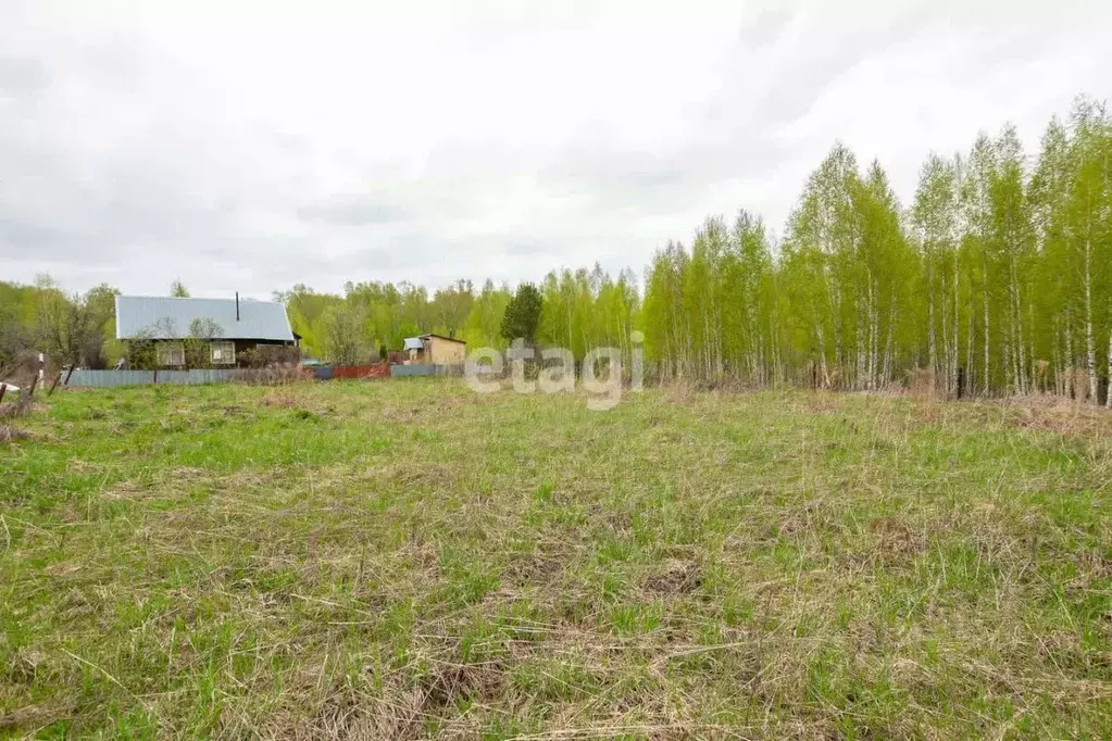 Участок в Новосибирская область, Новосибирский район, Барышевский ... - Фото 0