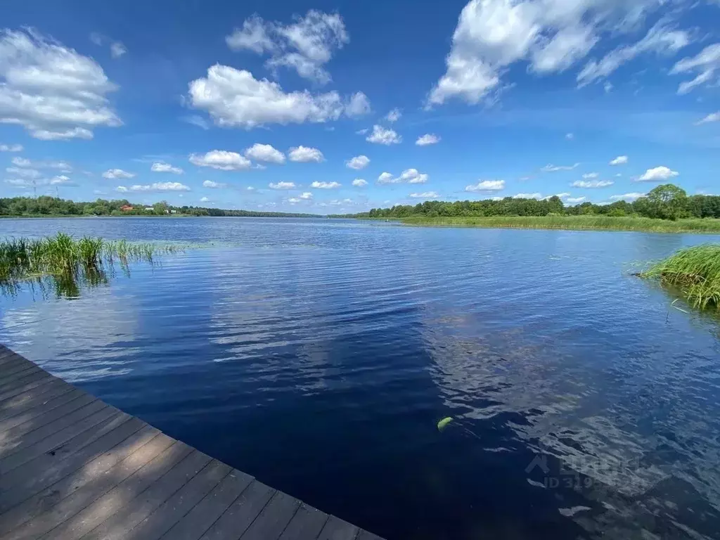 Участок в Тверская область, Кимрский муниципальный округ, д. Плешково  ... - Фото 1