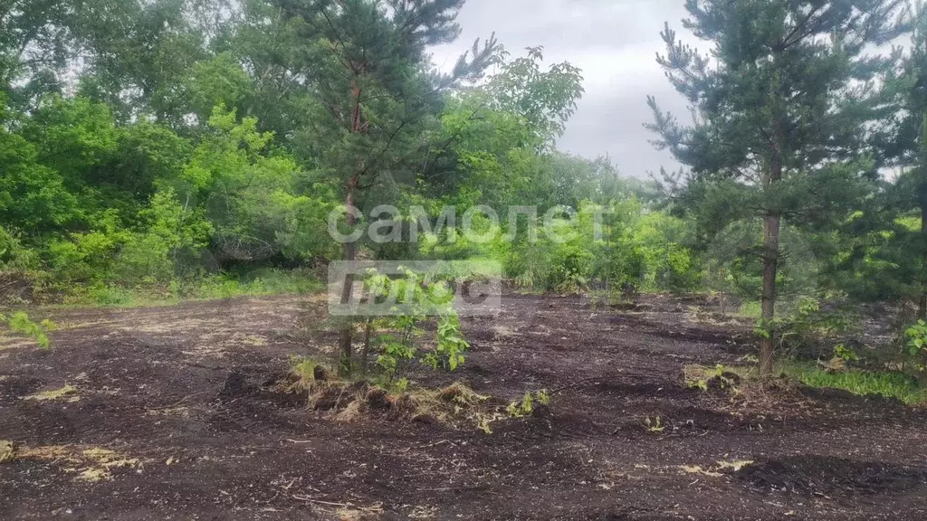 Участок 8,3 сот. (ИЖС) - Фото 1