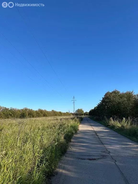 Участок в Архангельск, ТСН Малое Никольское (20 м) - Фото 1
