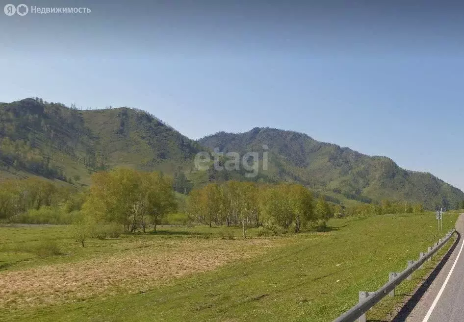 Участок в Шебалинский район, село Шебалино (80 м) - Фото 0