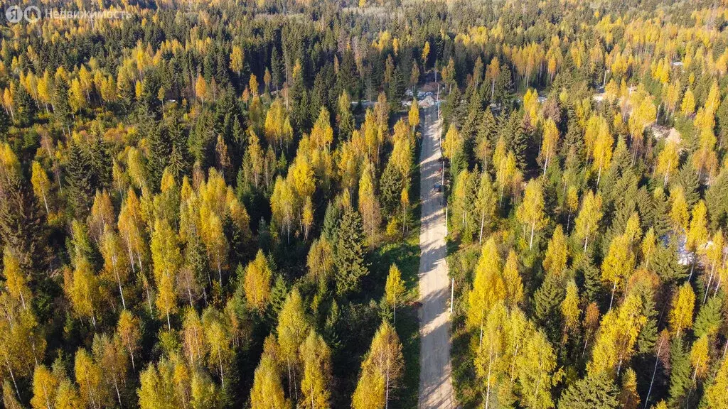 Участок в Ломоносовский район, Кипенское сельское поселение, деревня ... - Фото 1