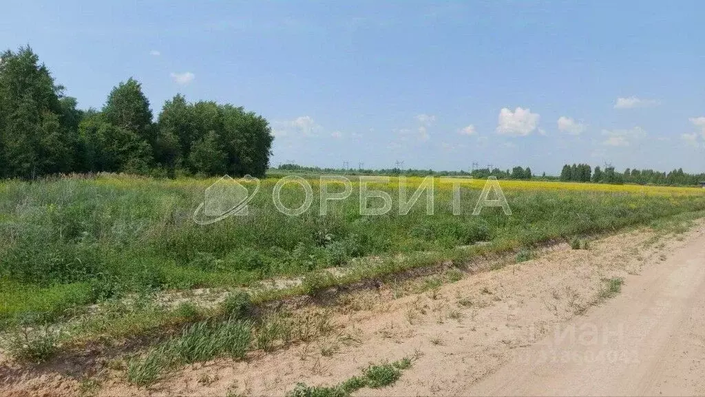 Участок в Тюменская область, Тюменский район, с. Борки ул. ... - Фото 1
