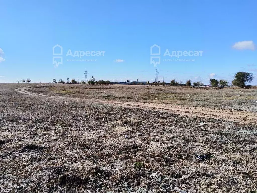 Участок в Волгоградская область, Городищенский район, Царицынское ... - Фото 0