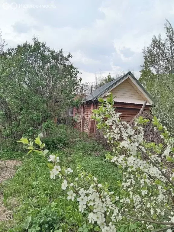 Дом в Нижегородская область, Городецкий муниципальный округ, деревня ... - Фото 1