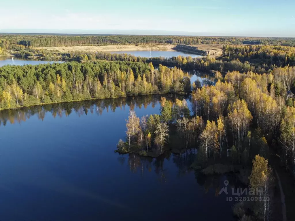 Дом в Ленинградская область, Тосненский район, Нурминское с/пос, Клен ... - Фото 2