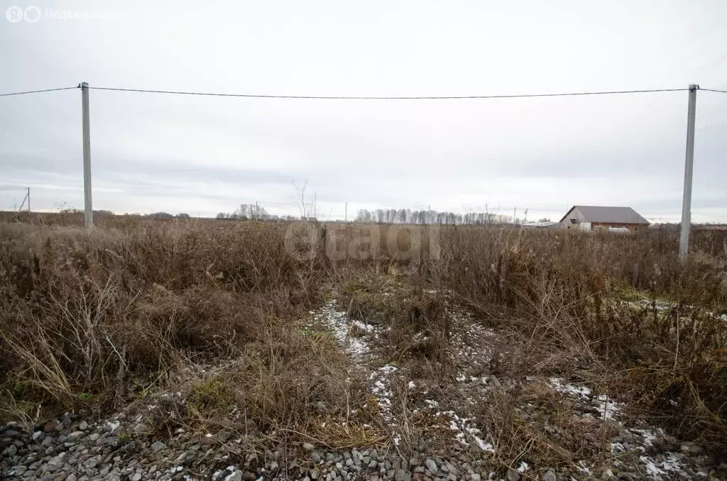 Участок в Заводоуковск, Олимпийская улица (8.29 м) - Фото 2