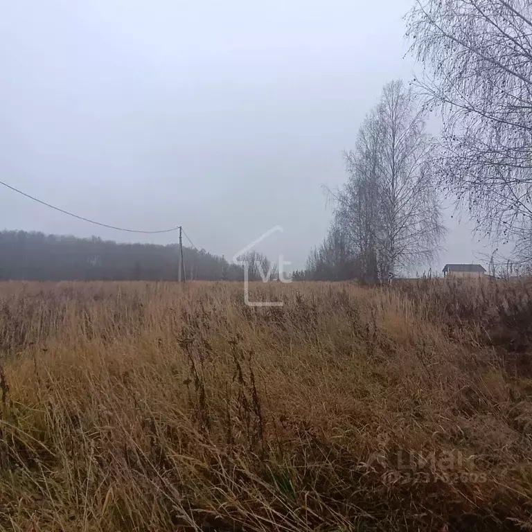 Участок в Владимирская область, Собинский муниципальный округ, д. ... - Фото 2