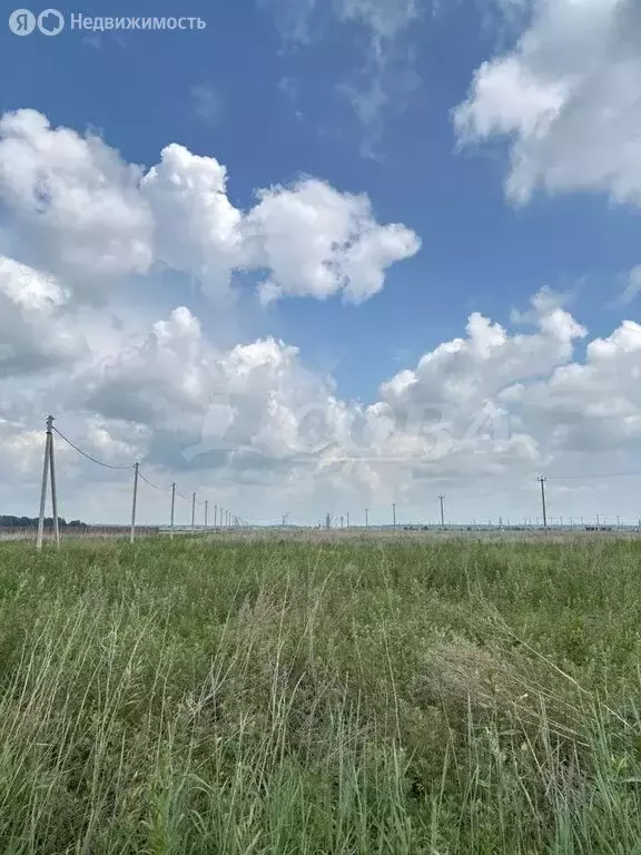 Участок в Тюменский муниципальный округ, село Успенка (10 м) - Фото 1