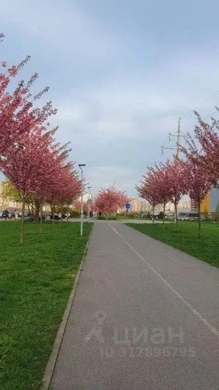 1-к кв. Калининградская область, Калининград Мирная ул., 1к4 (38.0 м) - Фото 0