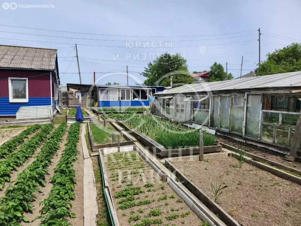 Дом в Корсаков, улица Толстого, 50 (70 м) - Фото 0