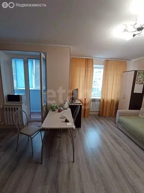 Квартира-студия: Саратов, 2-й Овсяной проезд, 7 (26 м) - Фото 1