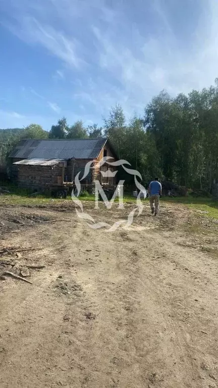Участок в Бурятия, Баргузинский район, с. Максимиха Клубная ул. (16.0 ... - Фото 2