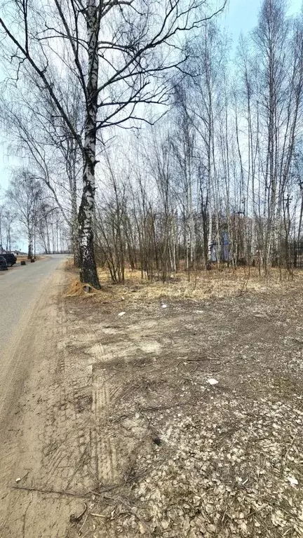 Участок в Нижегородская область, Кстовский муниципальный округ, д. ... - Фото 1