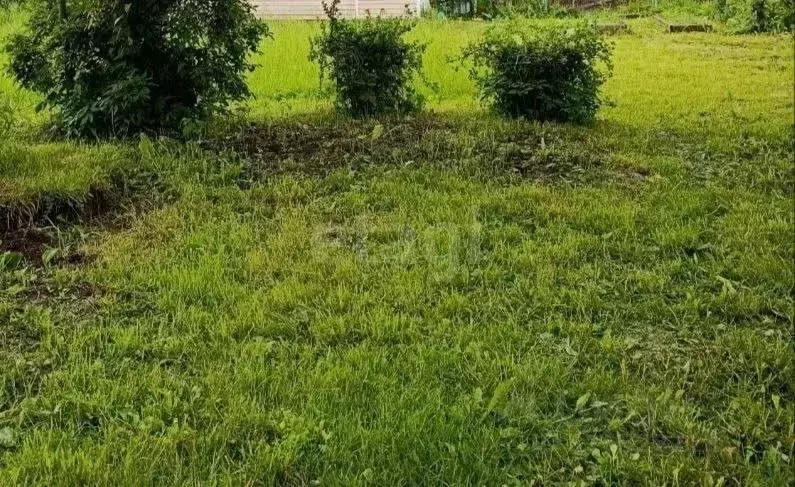 Участок в Калужская область, Калуга пер. Лесной (5.88 сот.) - Фото 2