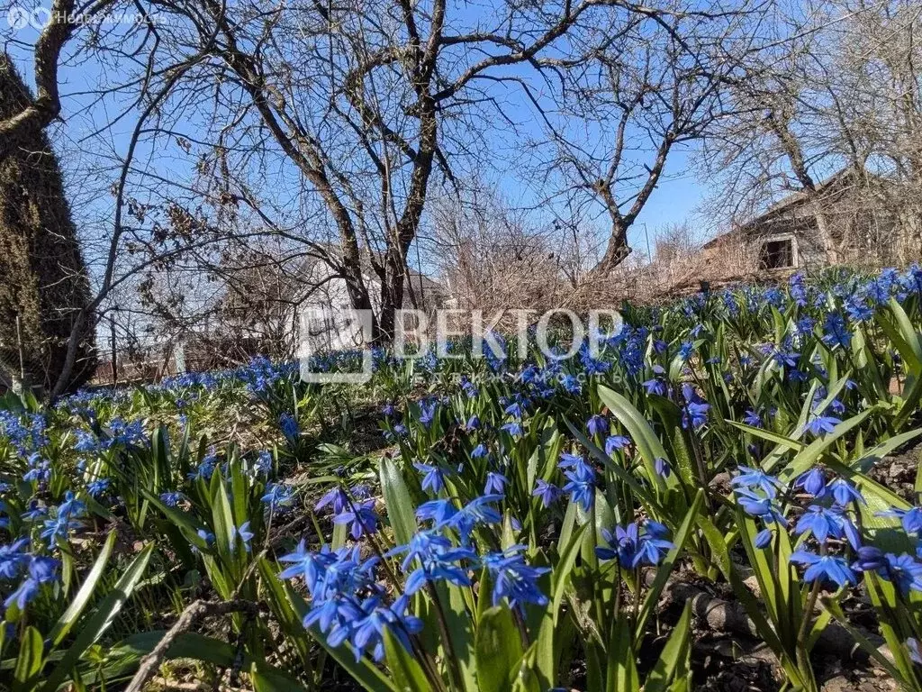 Участок в Иваново, СНТ 40 лет Октября, 31 (6.81 м) - Фото 2