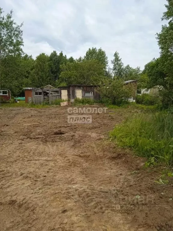Участок в Вологодская область, Шограш садоводческое товарищество ул. ... - Фото 1