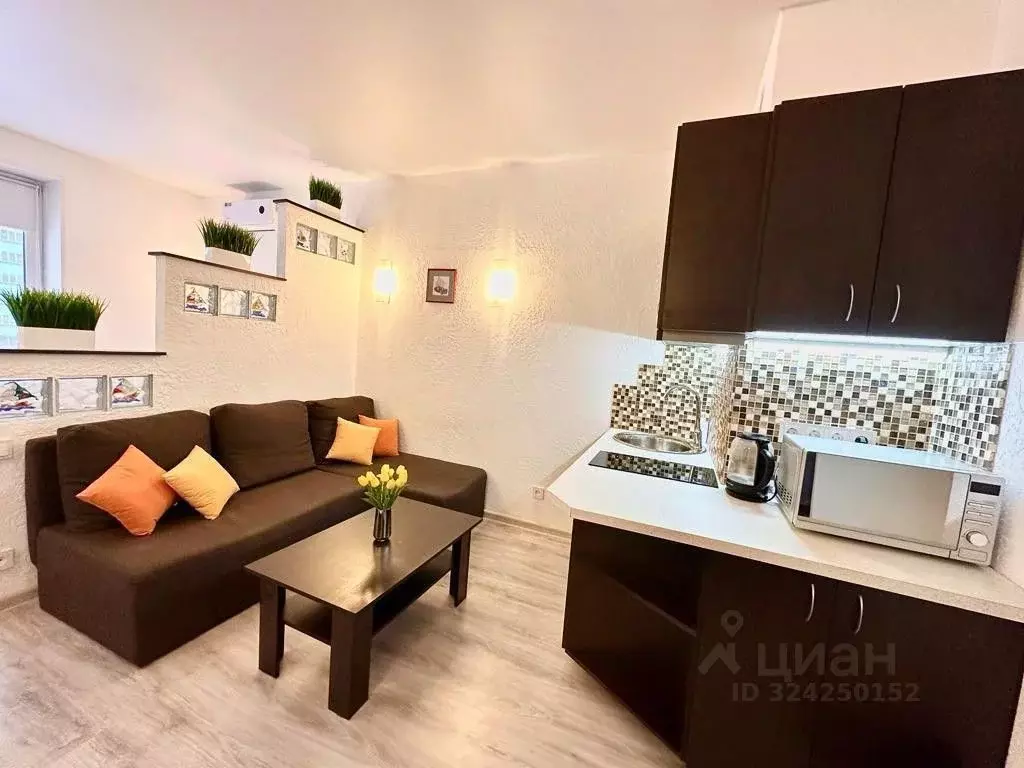 1-к кв. Нижегородская область, Нижний Новгород д. Афонино, ул. Красная ... - Фото 1