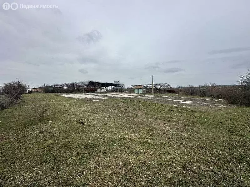 Помещение свободного назначения (6000 м) - Фото 2