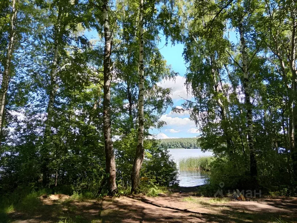 Участок в Нижегородская область, Сокольский муниципальный округ, д. ... - Фото 1