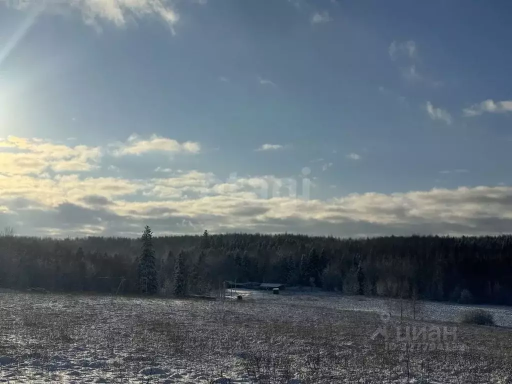 Участок в Московская область, Дмитровский муниципальный округ, д. ... - Фото 2