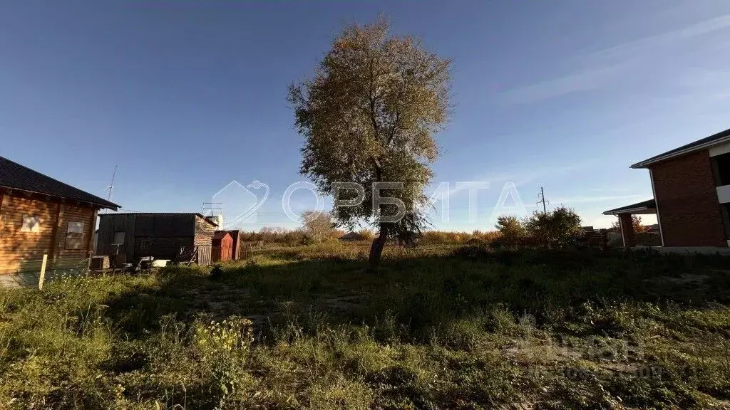 Участок в Тюменская область, Тюменский район, с. Луговое ул. Коклягина ... - Фото 0