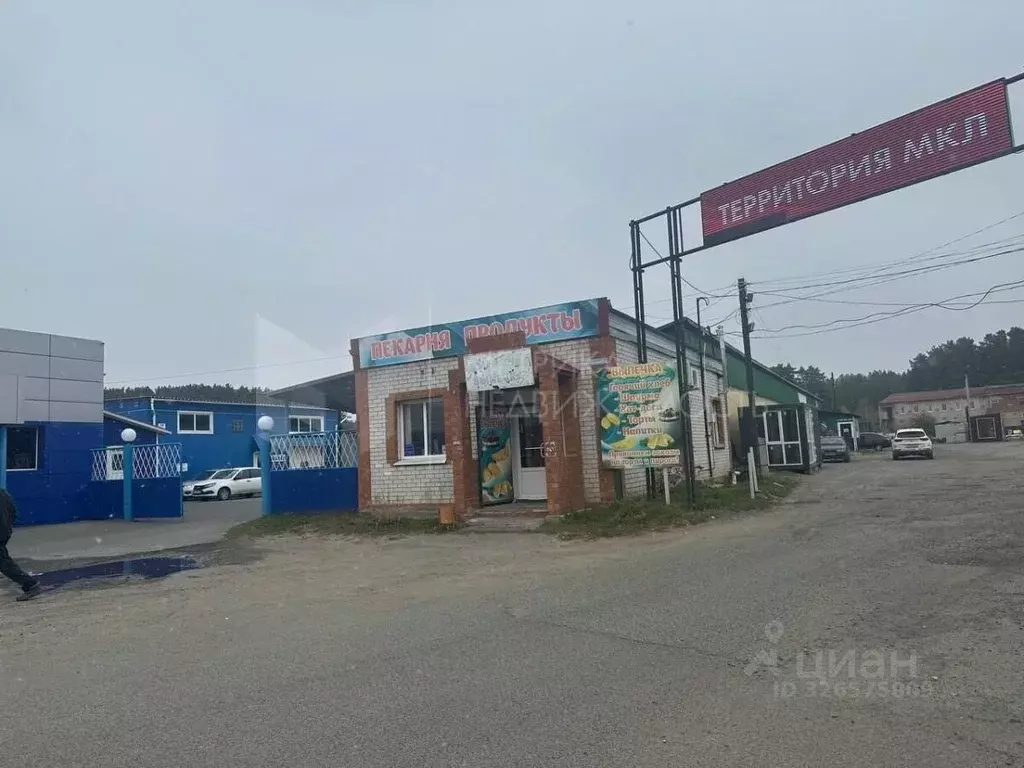 Помещение свободного назначения в Тюменская область, Заводоуковск пер. ... - Фото 1