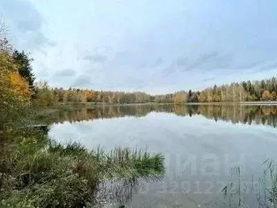 Участок в Московская область, Мытищи городской округ, д. Крюково, ... - Фото 2