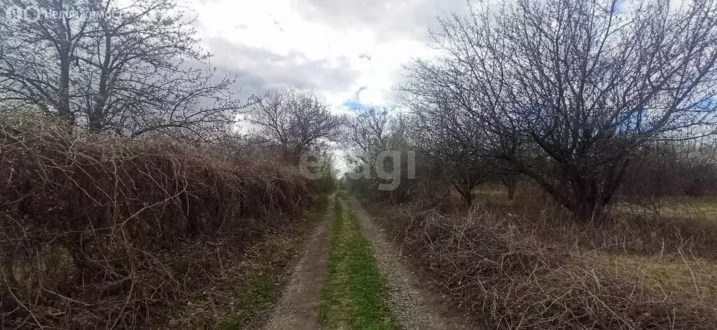 Участок в Губкин, СТ Журавушка (6 м) - Фото 1