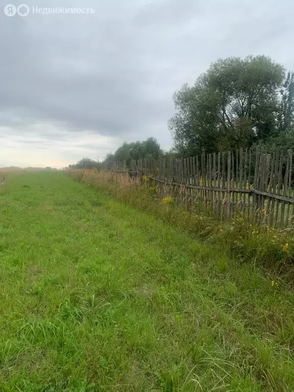 Участок в Гаврилово-Посадский район, Петровское городское поселение, ... - Фото 0
