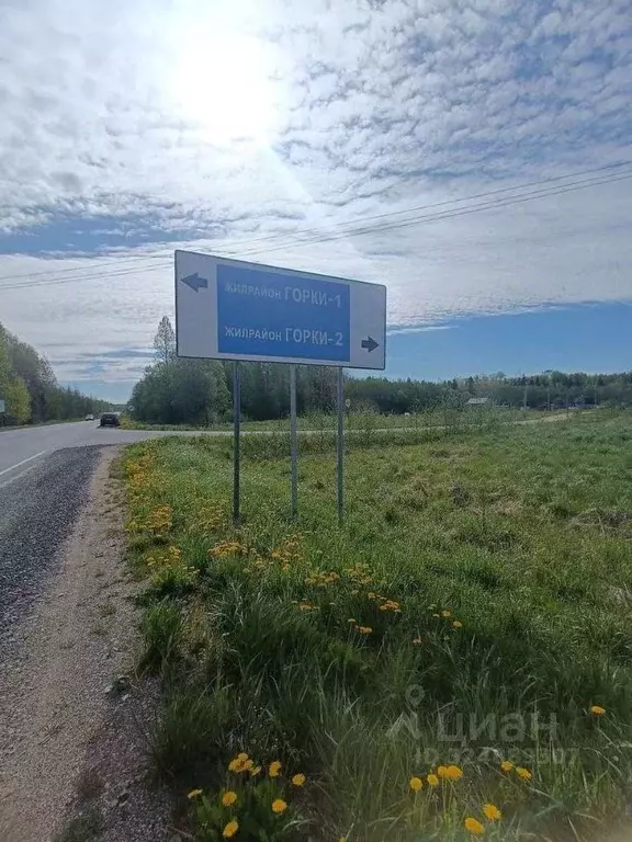 Участок в Новгородская область, Новгородский район, Ермолинское с/пос, ... - Фото 1