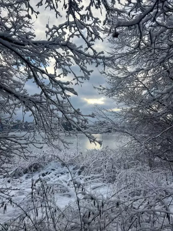 Участок в Московская область, Дмитровский муниципальный округ, д. ... - Фото 2