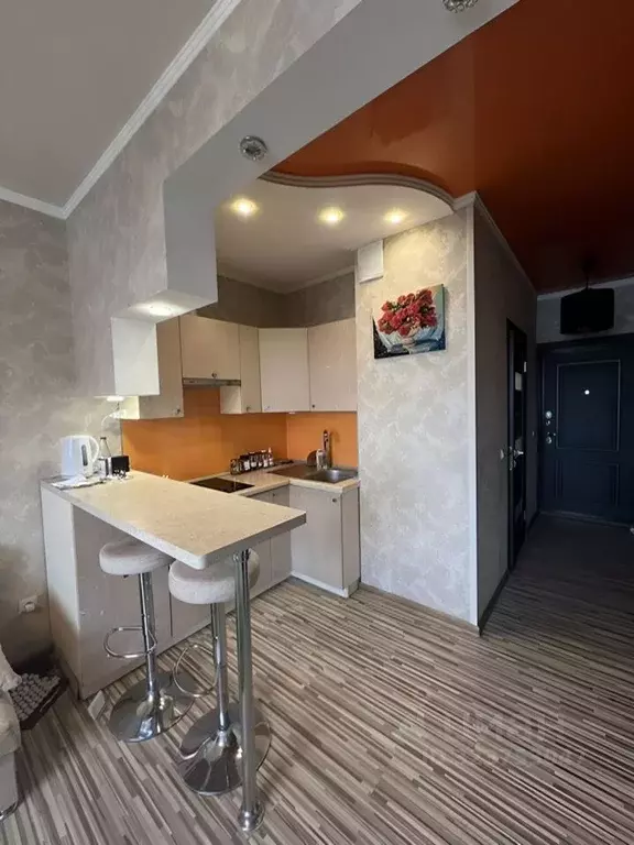 Студия Краснодарский край, Краснодар Российская ул., 72/4 (23.0 м) - Фото 2