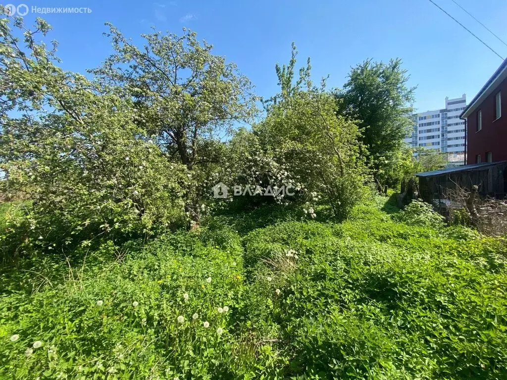 Участок в Калининград, СНТ Октябрьское, Весенняя улица, 7 (11.5 м) - Фото 2