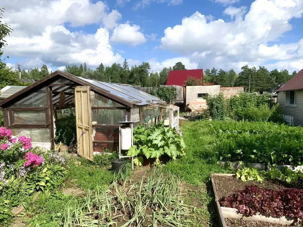 Участок в Свердловская область, Первоуральск № 31 КС,  (5.0 сот.) - Фото 1