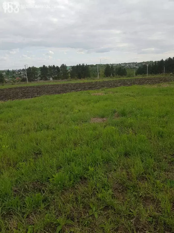 Участок в Орловский муниципальный округ, деревня Кондырева (11 м) - Фото 2