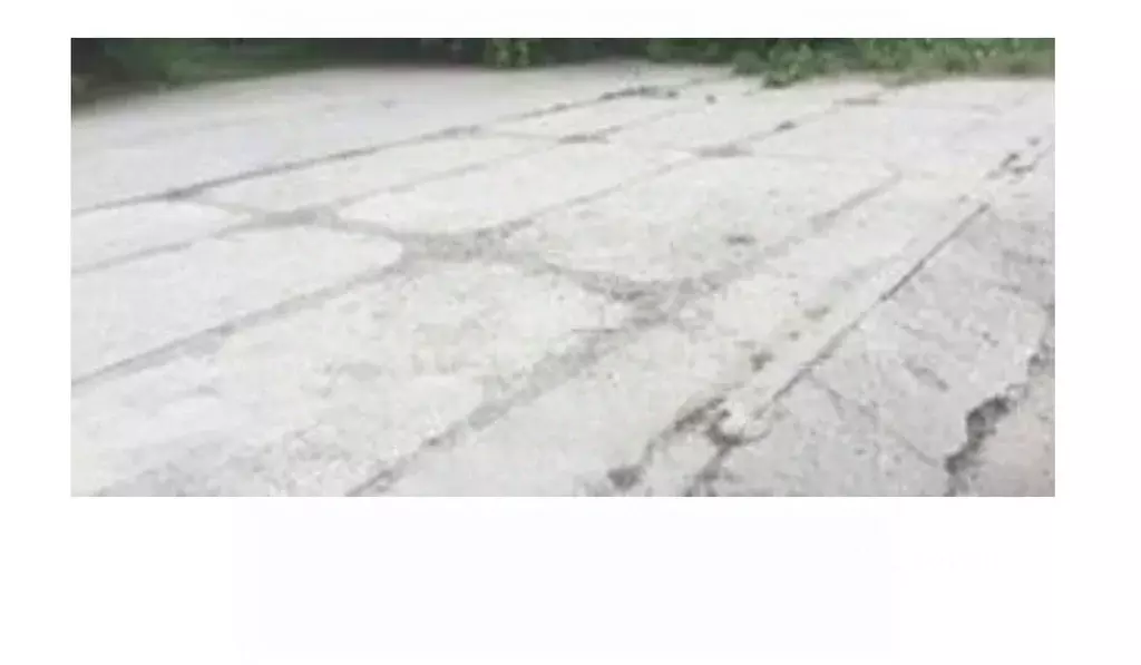 Помещение свободного назначения в Новосибирская область, Новосибирский ... - Фото 1