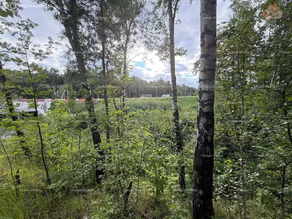 Участок в Ленинский городской округ, деревня Коробово (38.3 м) - Фото 1