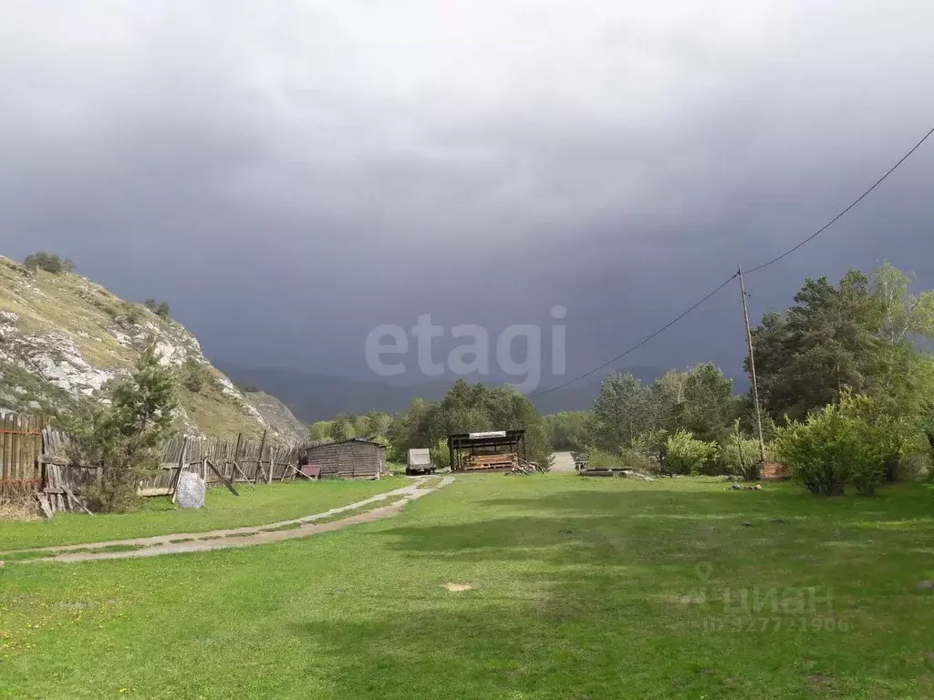 Участок в Алтай, Чемальский район, Узнезинское с/пос, с. Узнезя  (27.0 ... - Фото 1