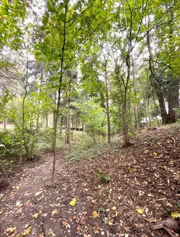 Участок в Московская область, Одинцовский городской округ, пос. ... - Фото 2