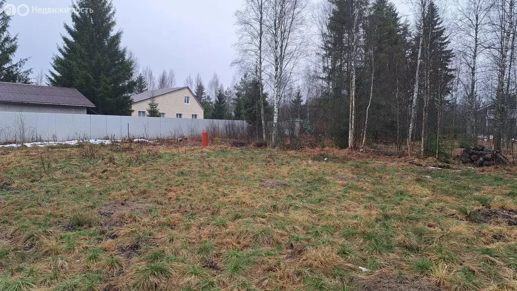 Участок в Пениковское сельское поселение, садоводческое некоммерческое ... - Фото 2